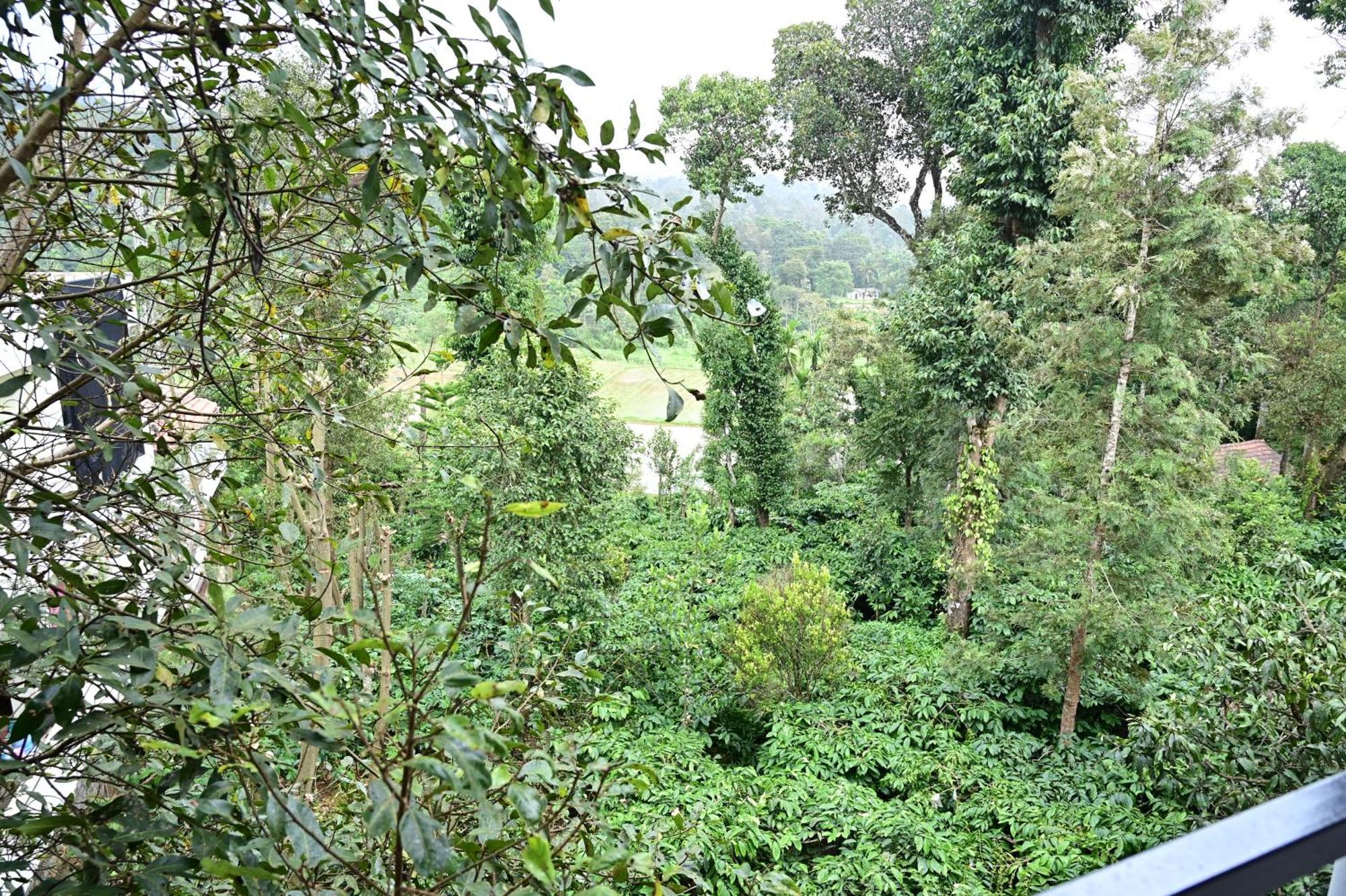 Grand Misty Heaven Vila Madikeri Exterior foto